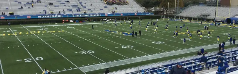 Delaware Fightin' Blue Hens