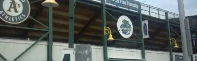 Vermont Lake Monsters