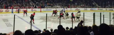 Chicago Wolves